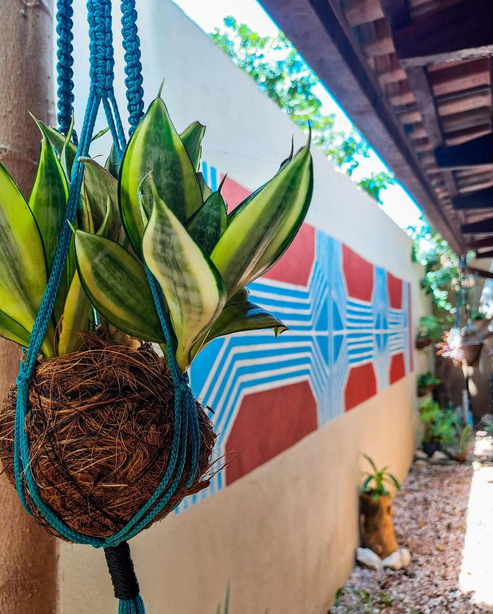 Savana Hostel São Jorge Eksteriør billede